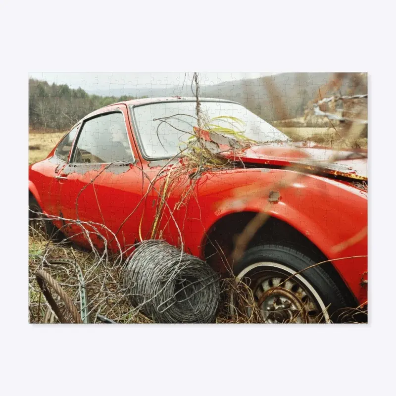 Opel GT in Sun