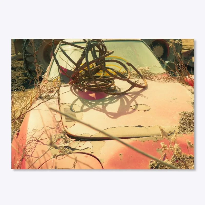 Opel GT Rotting with Steel Wire